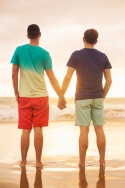 30358074 - happy gay couple watching sunset on the beach